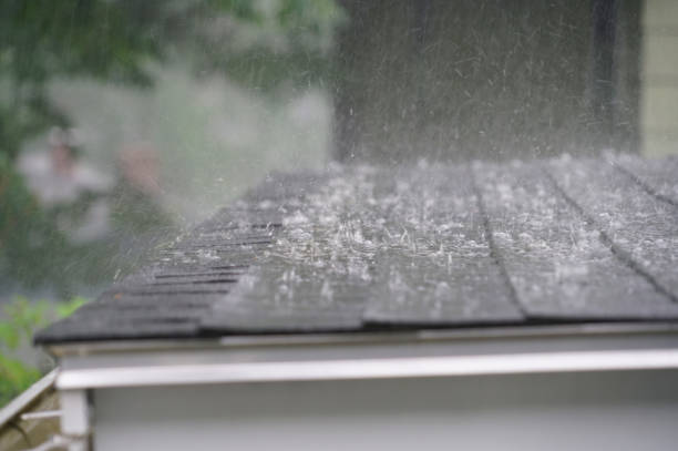 Best Roof Moss and Algae Removal  in Duncan Falls, OH